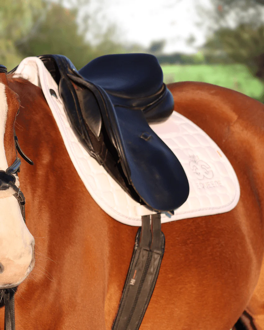 Pro-Impact Jumping Saddlecloth - White - Image 3